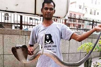 Cobra rescued from JNU hostel and two other places