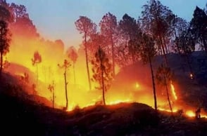 Kurangani forest fire - Death toll rises to 12