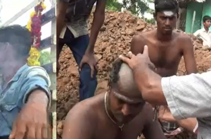 Jallikattu bull dies of illness: Youngsters shave head to cremate
