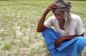 Tamil Nadu farmers get Rs 5 as relief