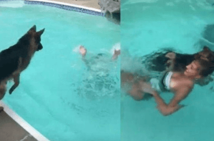 Faithful dog jumps into pool to save woman