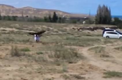 Video: 8-yr-old mistaken as prey; attacked by golden eagle.