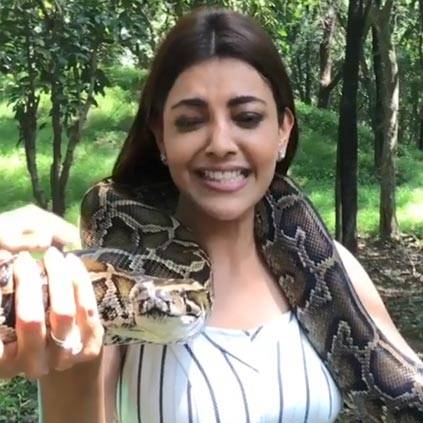 Kajal Aggarwal posts a video holding a snake from Thailand