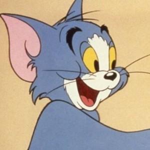 Tom and Jerry film gets actress Pallavi Sharda on board Tom and Jerry film gets actress Pallavi Sharda on board